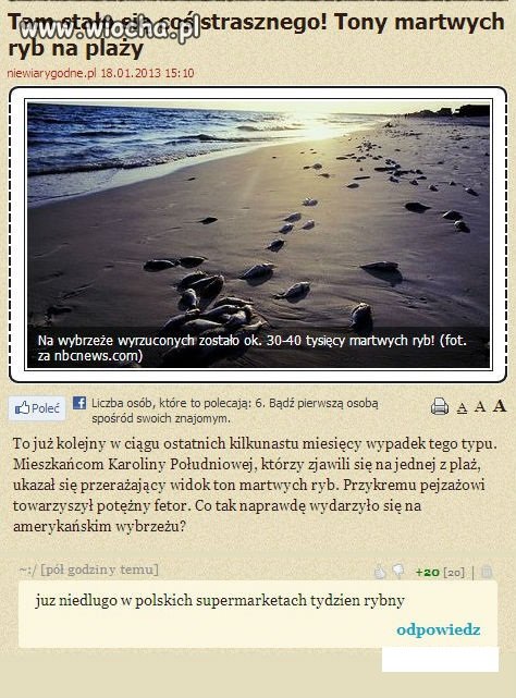  Coś strasznego