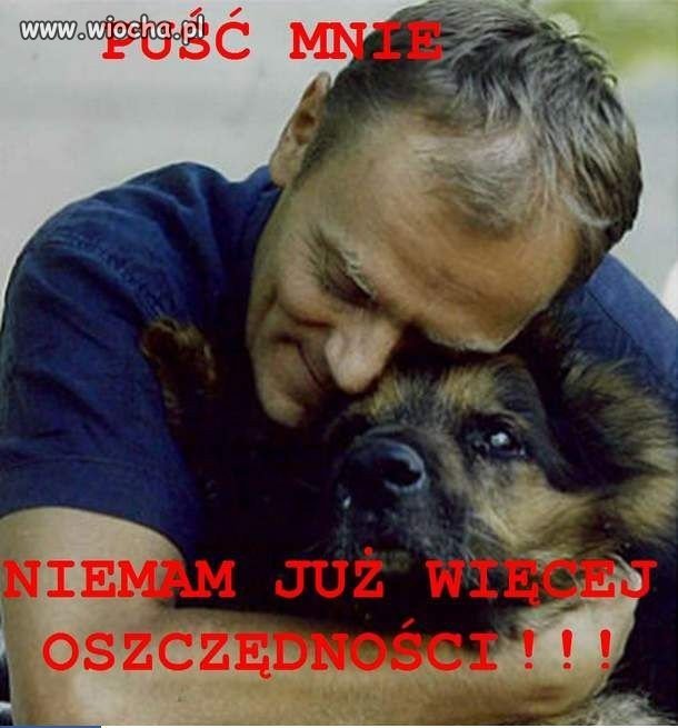 Biedny kundel 