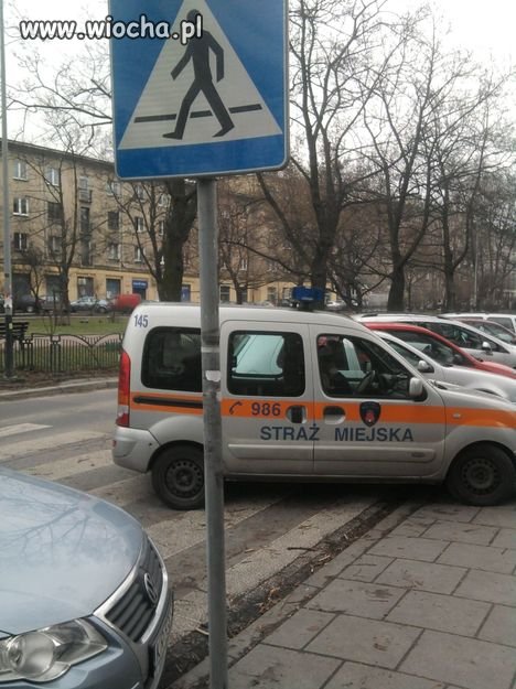 Straż miejska kraków