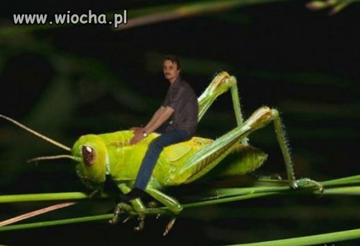 Spójrz na swojego faceta, teraz na mnie, znów na niego i na mnie ...