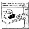 Paradoksy polskie