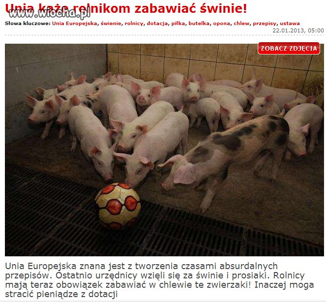 ...żeby "kotlety"nie popadały w depresję...