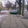Jak nazwać tak parkujących kierowców ?