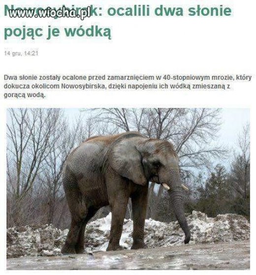 Takie rzeczy 