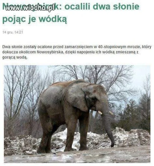 Takie rzeczy 