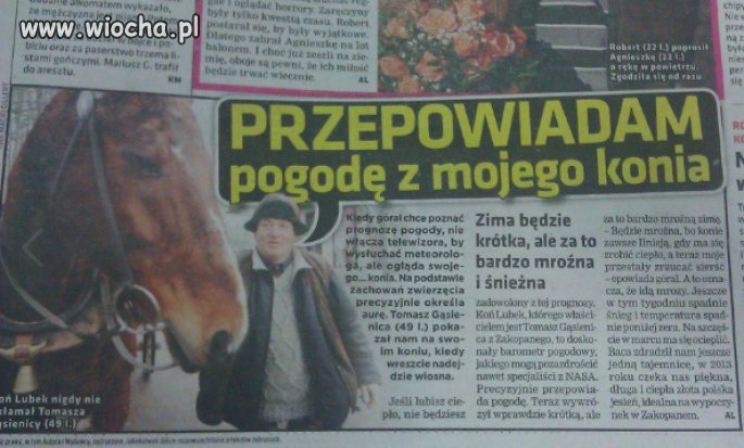 Przepowiadam pogodę z mojego konia, 