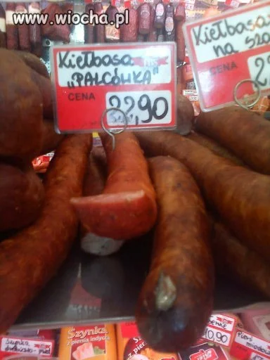Nasza kochana Polska . 
