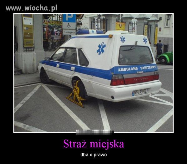Już w Polsce mnie nic nie zaskoczy