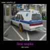 Już w Polsce mnie nic nie zaskoczy