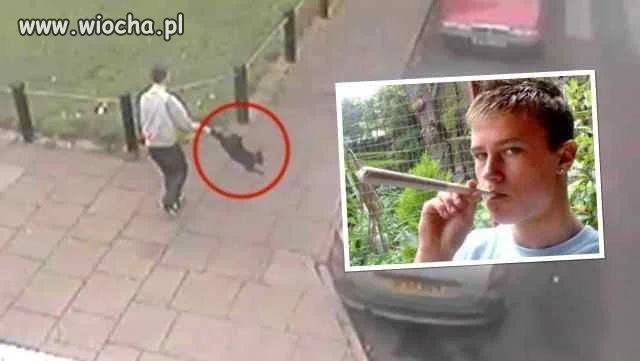 Rzucał kotem dla zabawy,