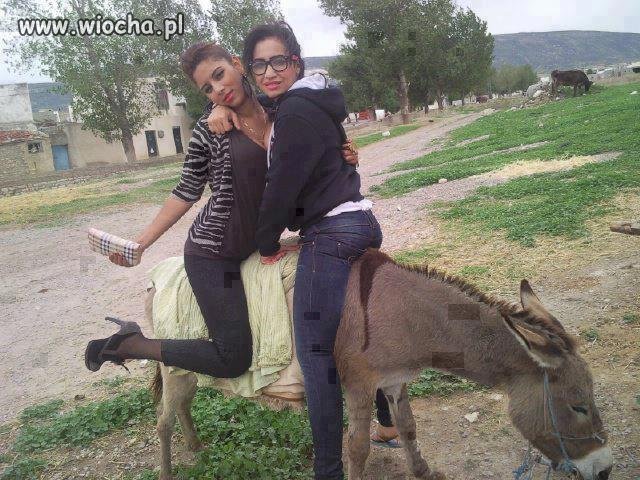 Wio Wio Wio 