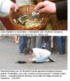 Cała Prawda o Dobrych Sercach