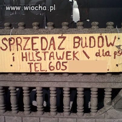 Ciekawe ogłoszenie..