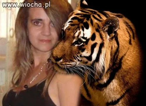 Mistrzyni painta