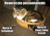 Noworoczne postanowienie