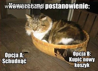 Noworoczne postanowienie