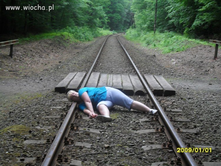 Foki wyszły na tory 