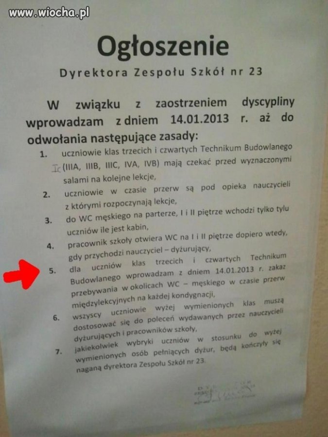 Dyscyplina