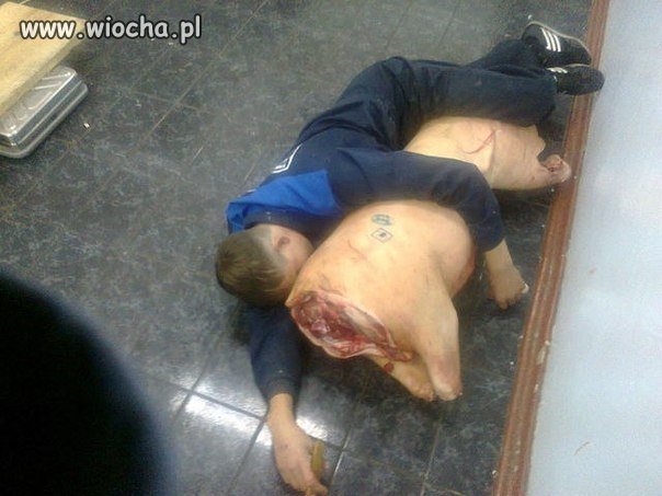 Oziębła