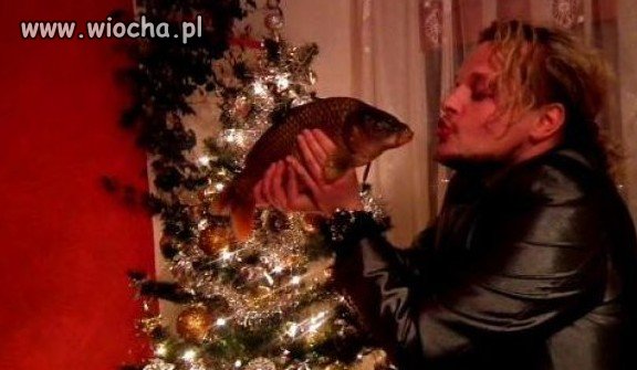 Arania myślał,że karp zmieni się w księżniczkę 