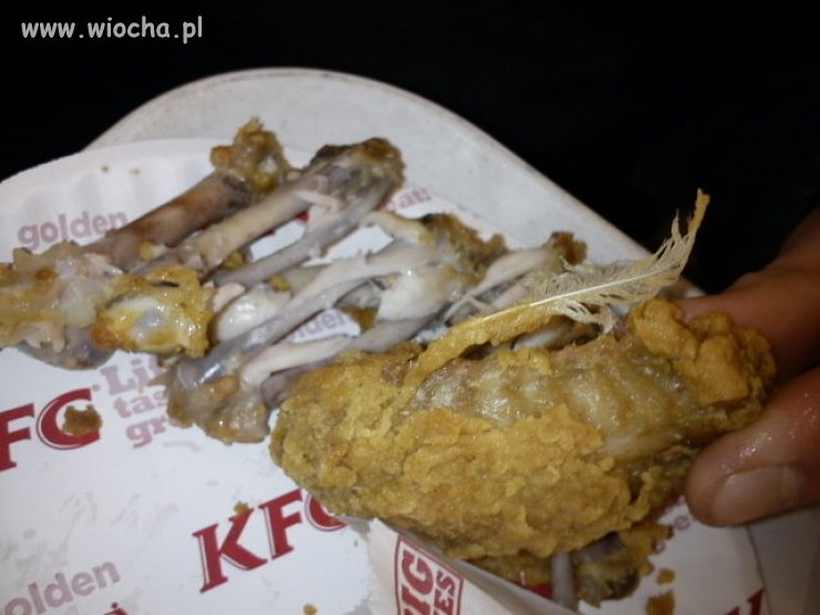 KFC Panierka  z piórkiem