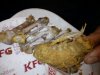 KFC Panierka  z piórkiem