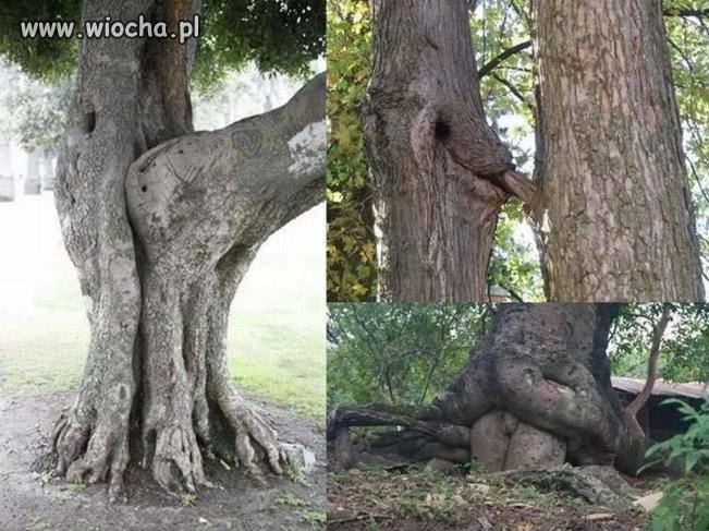 Natural sex