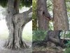 Natural sex
