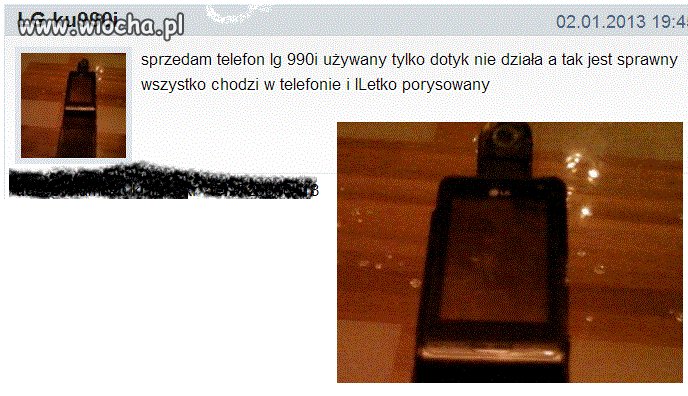 Chojnicki portal
