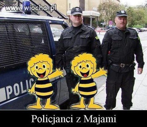 POLICJANCI z
