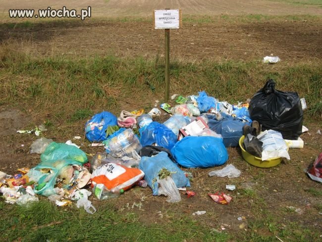 Nie dość że naśmiecone przy samej drodze
