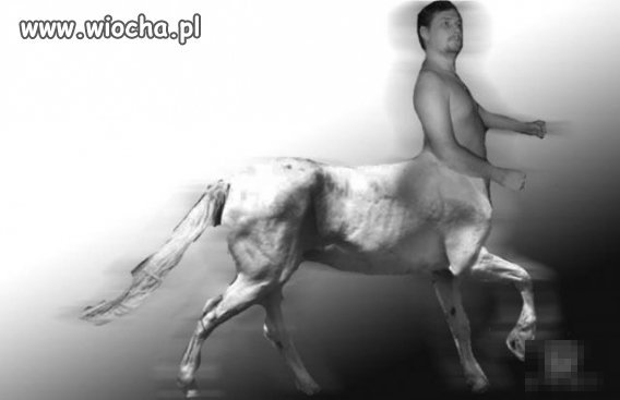 Poczuł się jak centaur