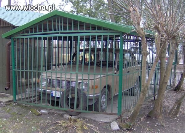 Polak potrafi