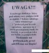Serdeczny List do złodzieja
