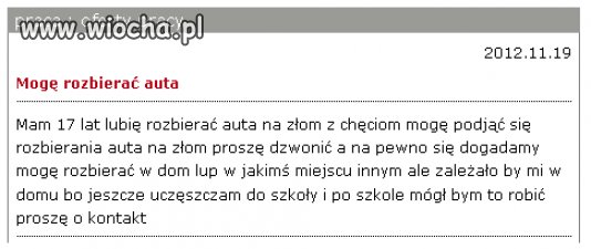 Fachowiec 