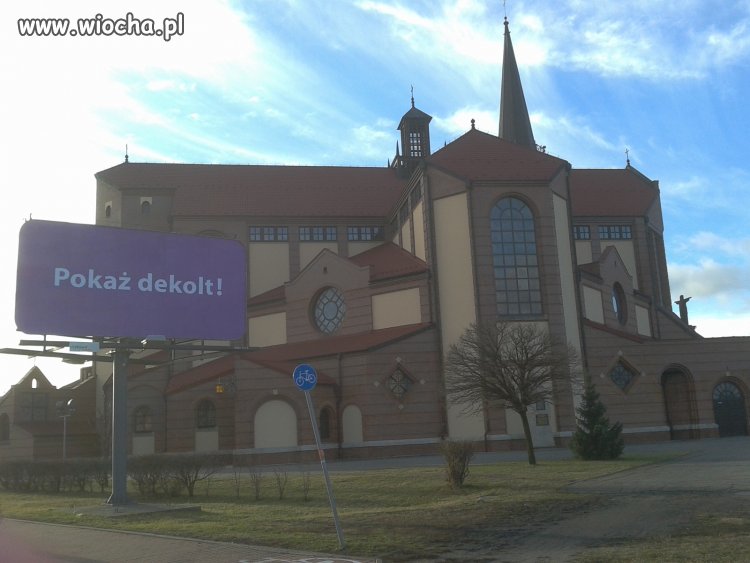 Kampania reklamowa dla moherów?