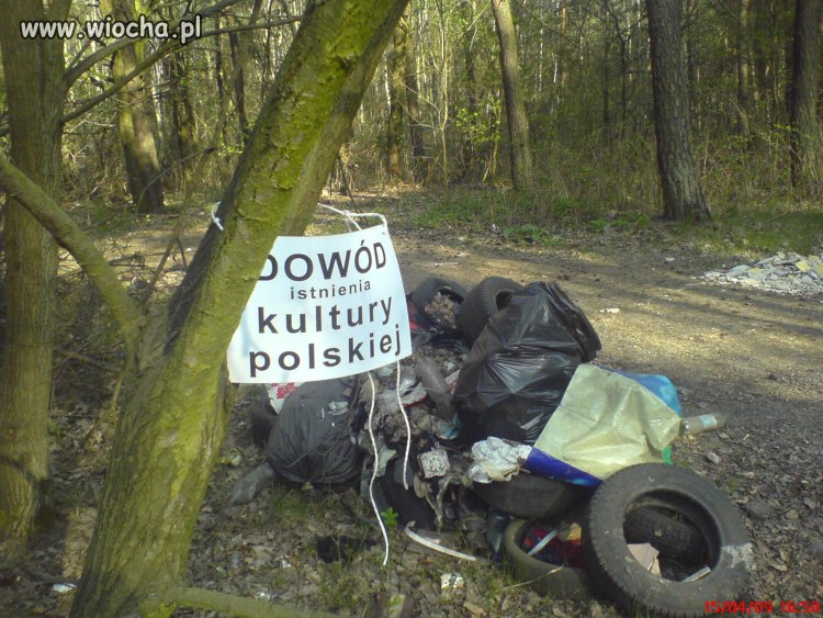 Z kulturą na TY