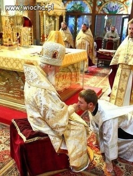 Teraz bądź psem...