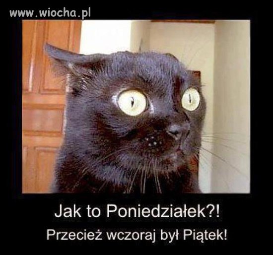 Jak ja nielubię poniedziałku...