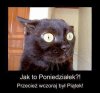Jak ja nielubię poniedziałku...