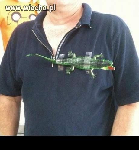 Original LACOSTE