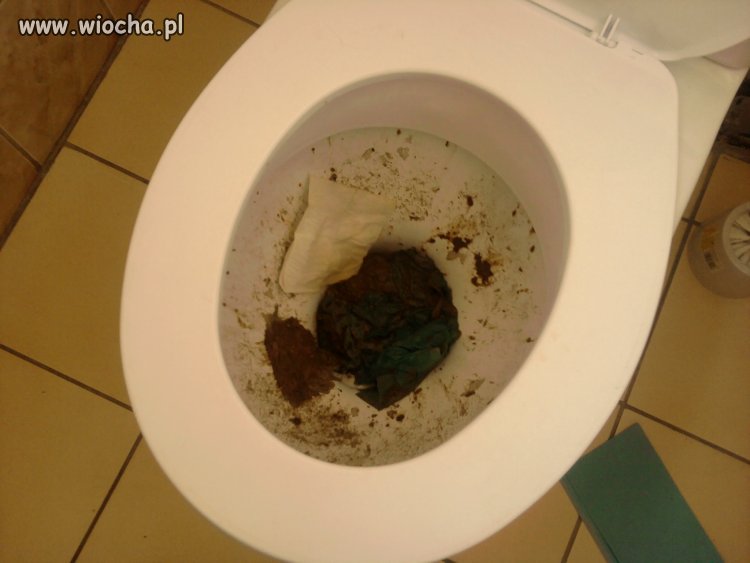 Toaleta damska w szkole