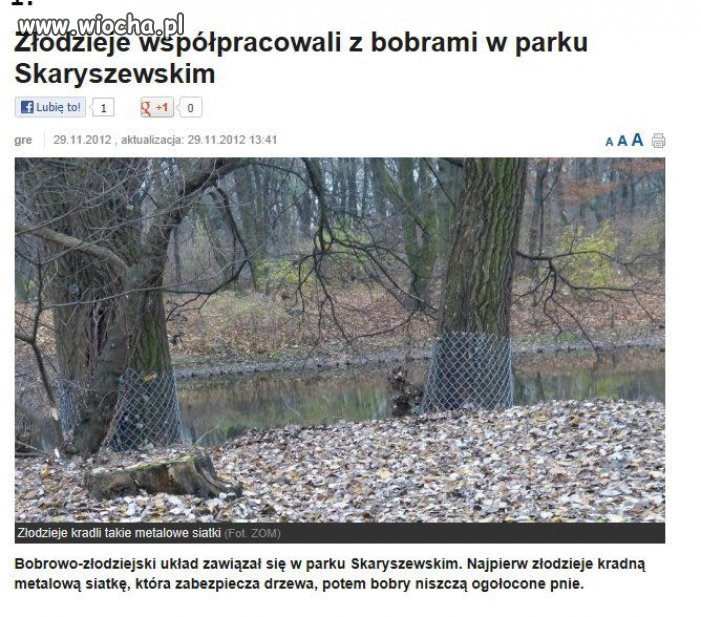 To się nazywa mieć układy.