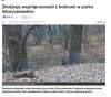 To się nazywa mieć układy.