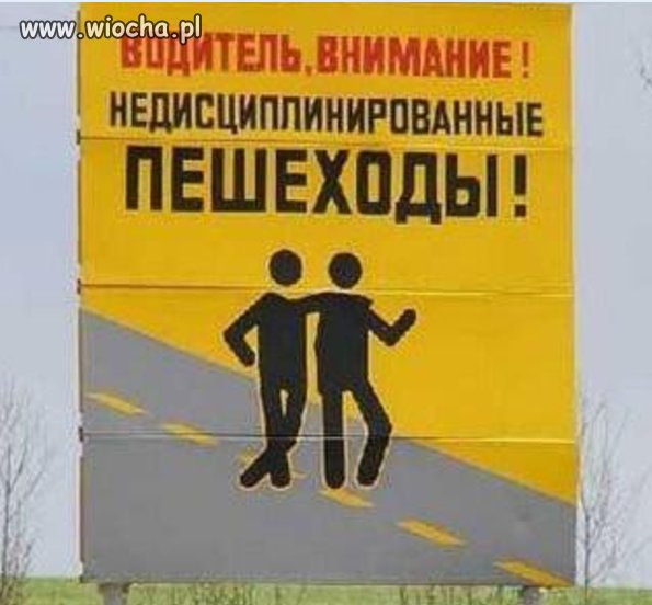 Uwaga kierowcy. 