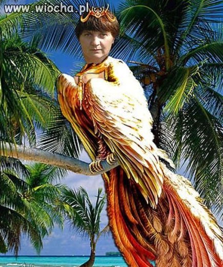 No, mistrz photoshopa to nie jest 