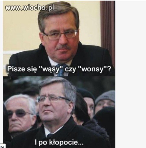 Wąsy czy wonsy?