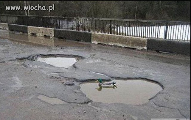 Pojezierze polskie