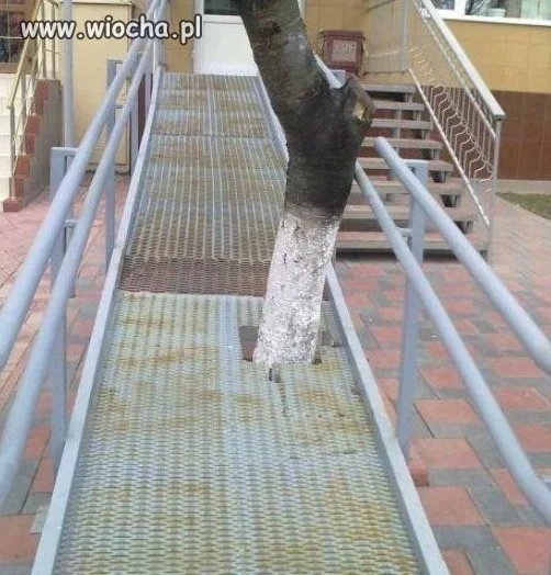 Niepełnosprawni,