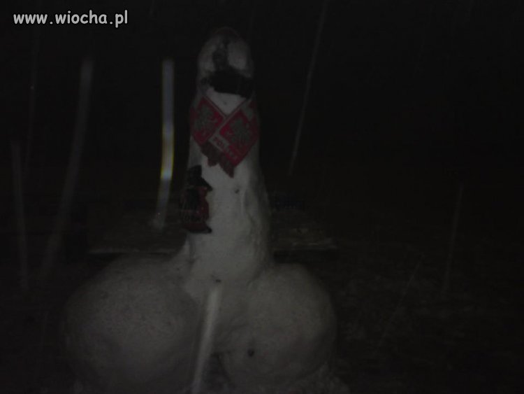 Ach Ci kibice